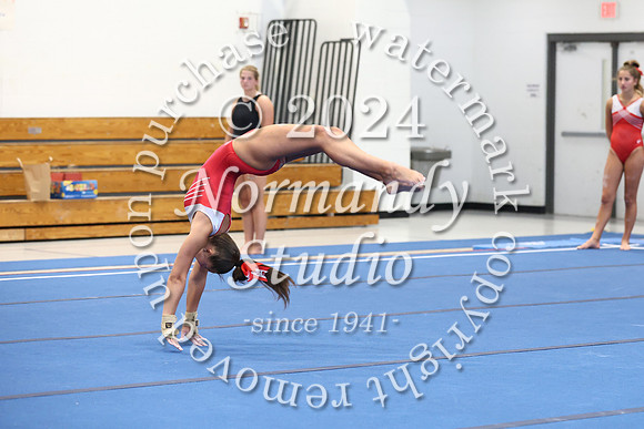 MNP_gy_24