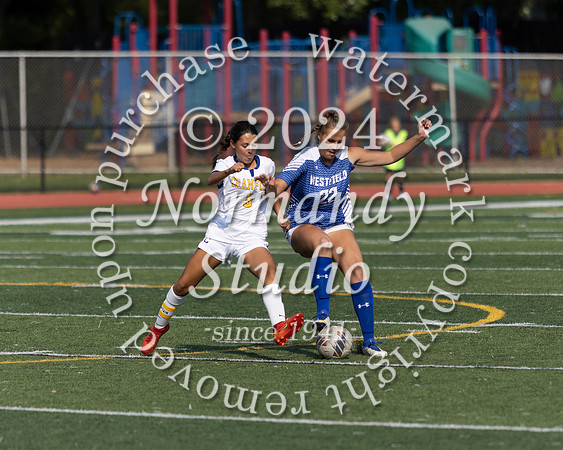 CHS_so-g_26