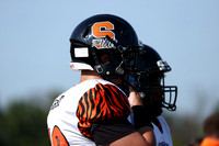 SVL_fb-f_10