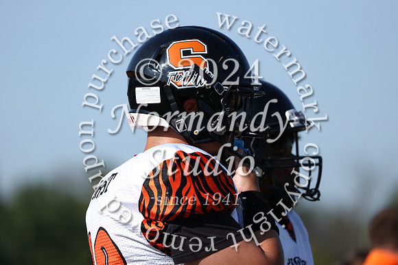 SVL_fb-f_10