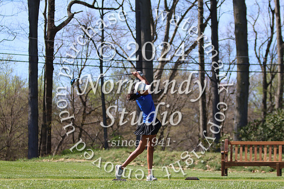 WHS_go-g_17