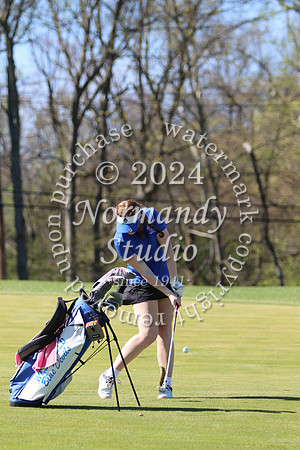 WHS_go-g_20
