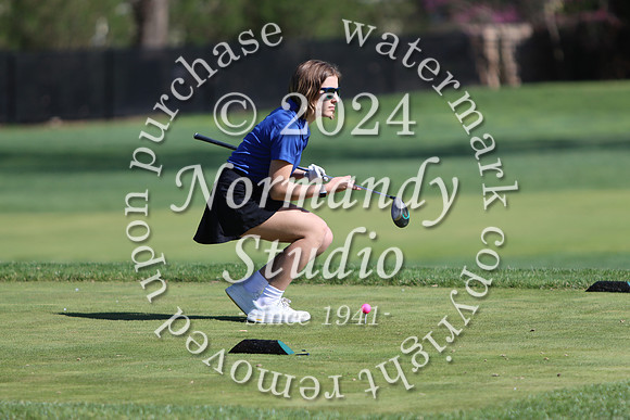 WHS_go-g_49