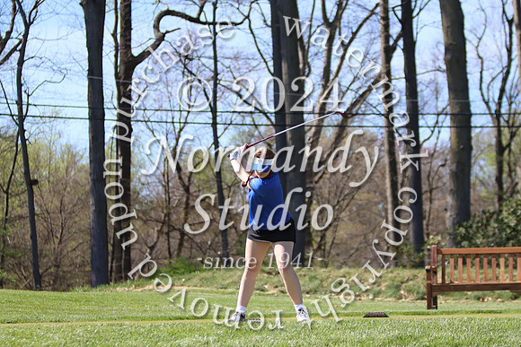 WHS_go-g_03