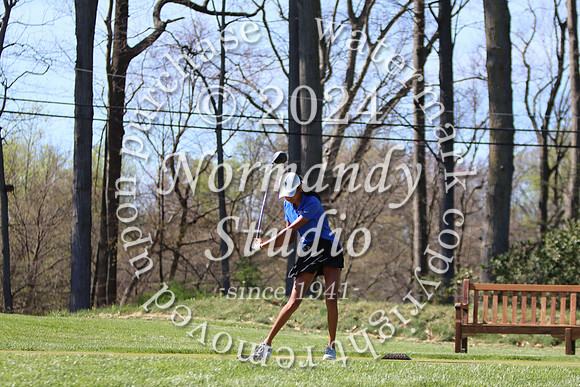 WHS_go-g_09