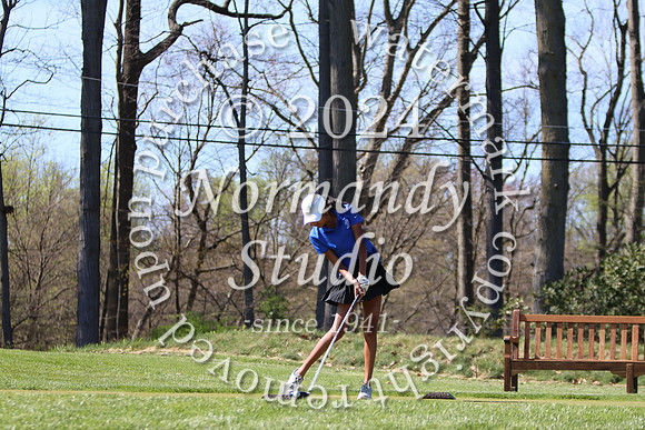 WHS_go-g_10