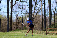 WHS_go-g_13