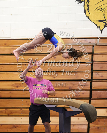CHS_gy_05