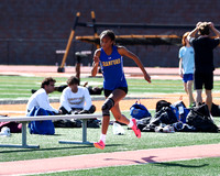 CHS_tr-g_06