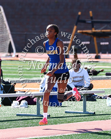 CHS_tr-g_07