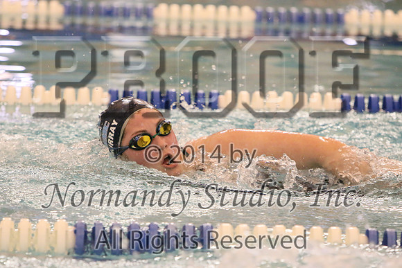 WMC_206_sw-g