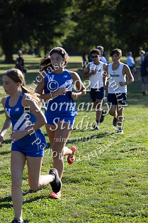WHS_cc-g_31