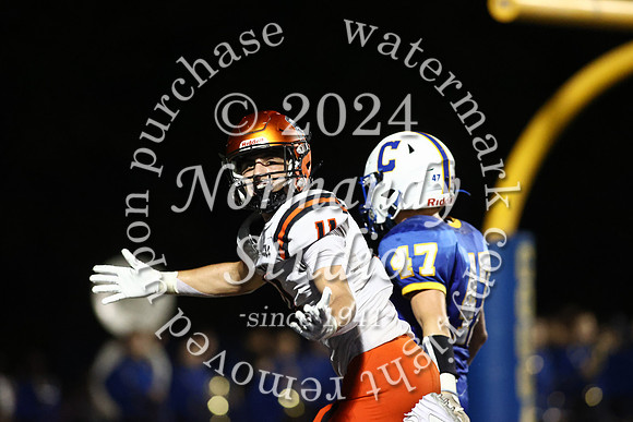 SVL_fb_40