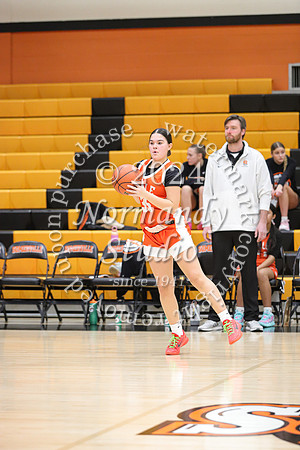 SVL_bb-g-j_60