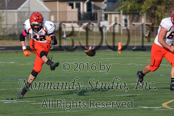 SVL_fb-j_029