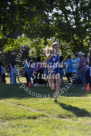 WHS_cc-g_44