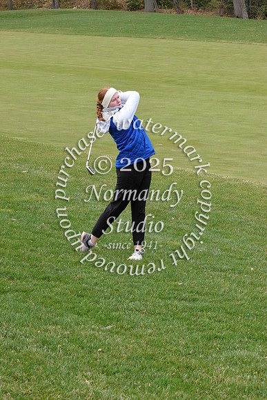 WHS_go-g_42