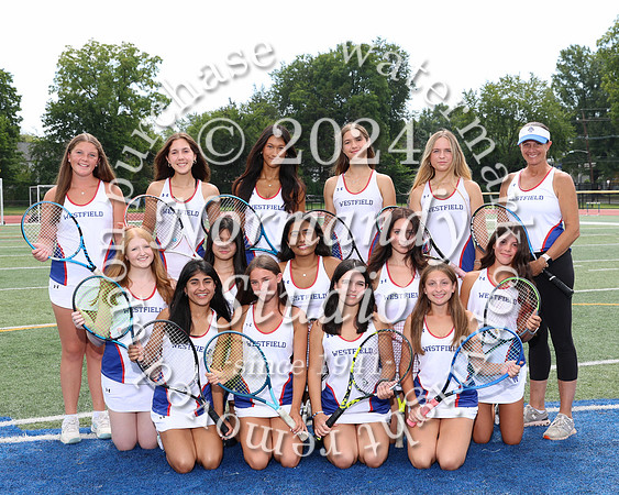 WHS_tn-g-v-t_313