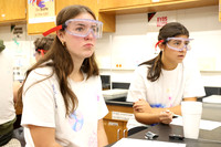 WHS_slc_011