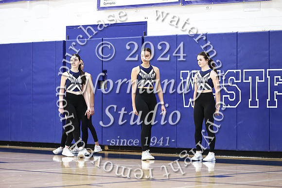 WHS_dt_001