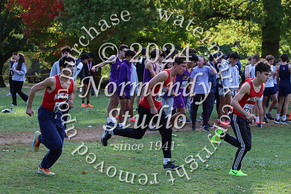 MNP_cc-b_33
