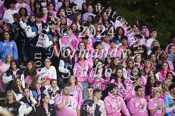 FTH_fans_03