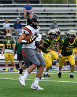 SVL_fb-j_17
