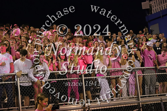 DVH_fans_25