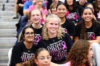WHS_vb-pink out_19