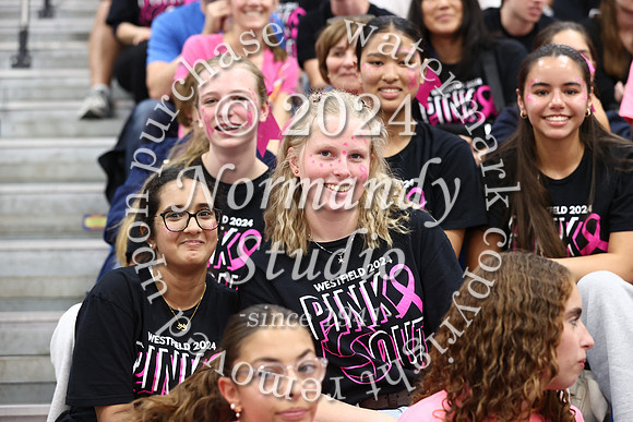 WHS_vb-pink out_19