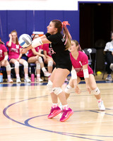 WHS_vb-pink out_04