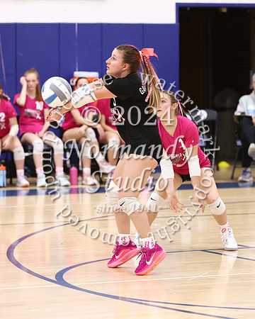 WHS_vb-pink out_04