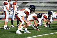 SVL_fb-f_13