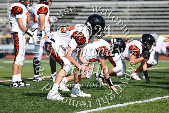 SVL_fb-f_13