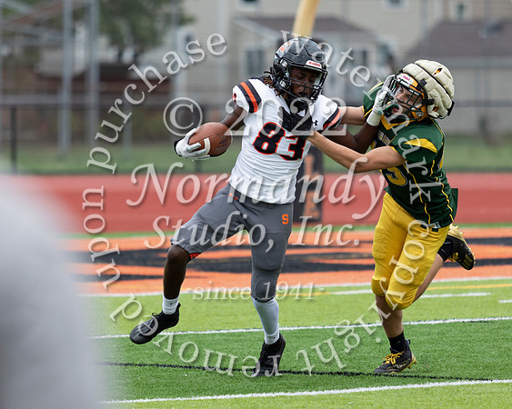 SVL_fb-j_35