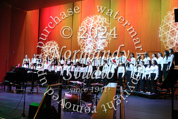 WTG_concert_11