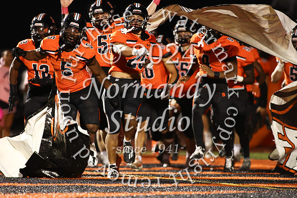SVL_fb_13
