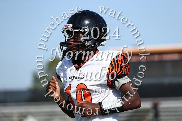 SVL_fb-f_31