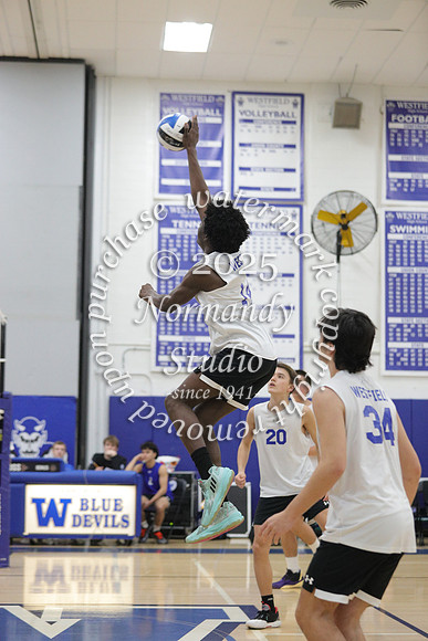 WHS_vb-b-j_047