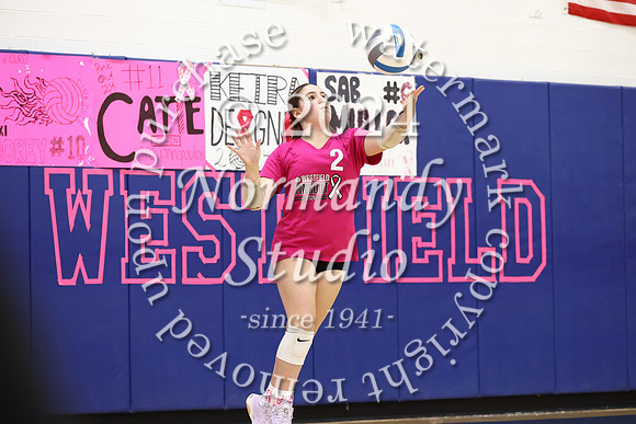 WHS_vb-pink out_41