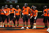 SVL_fb_02