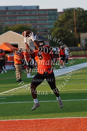 SVL_fb_49