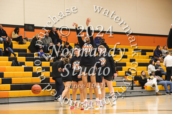 SVL_bb-g-v_17