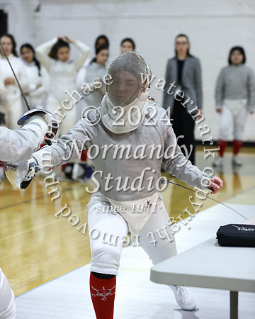 BER_fe-g_030