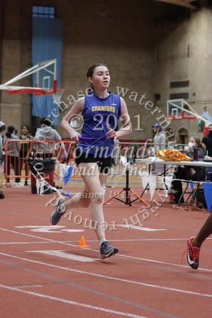 CHS_34_wt-g