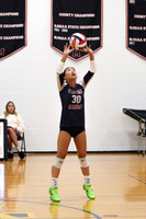 MSM_vb-g_20