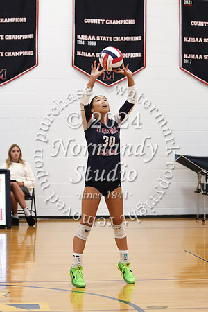 MSM_vb-g_20