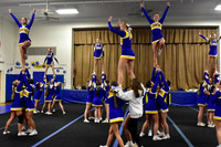 CHS_comp ch_20