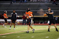 SVL_fb_08