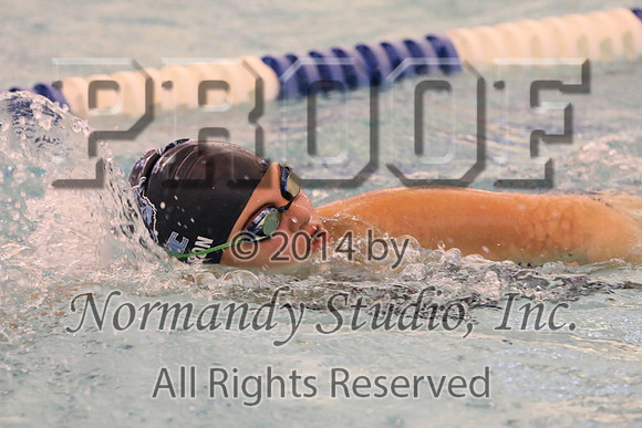 WMC_219_sw-g